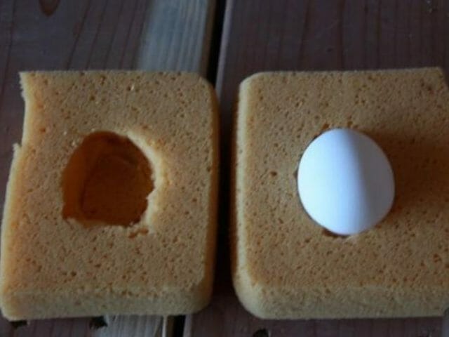 egg drop challenge